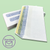 Piracle Envelope #9 Double Window Self Seal (1,000 per case)