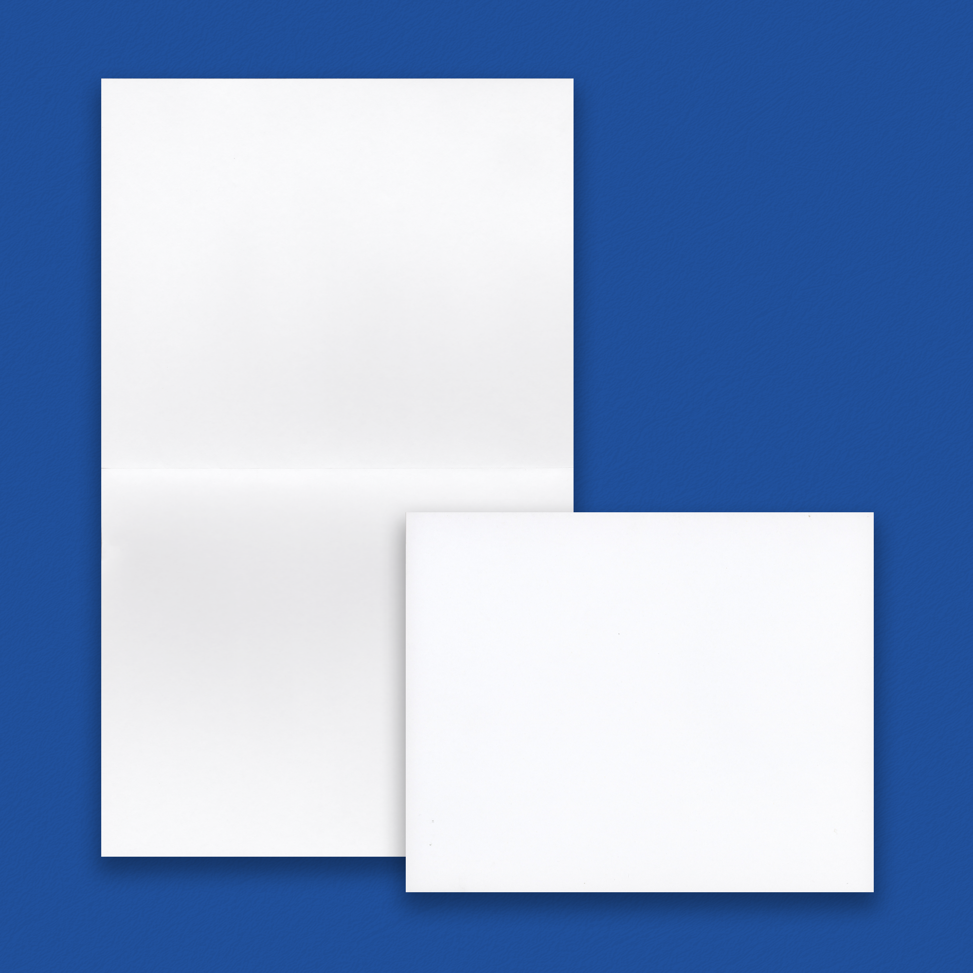 Piracle Legal Copy Stock - White