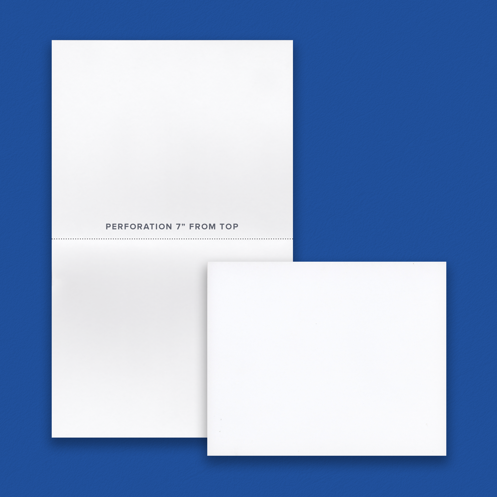 Piracle Legal Copy Stock - White