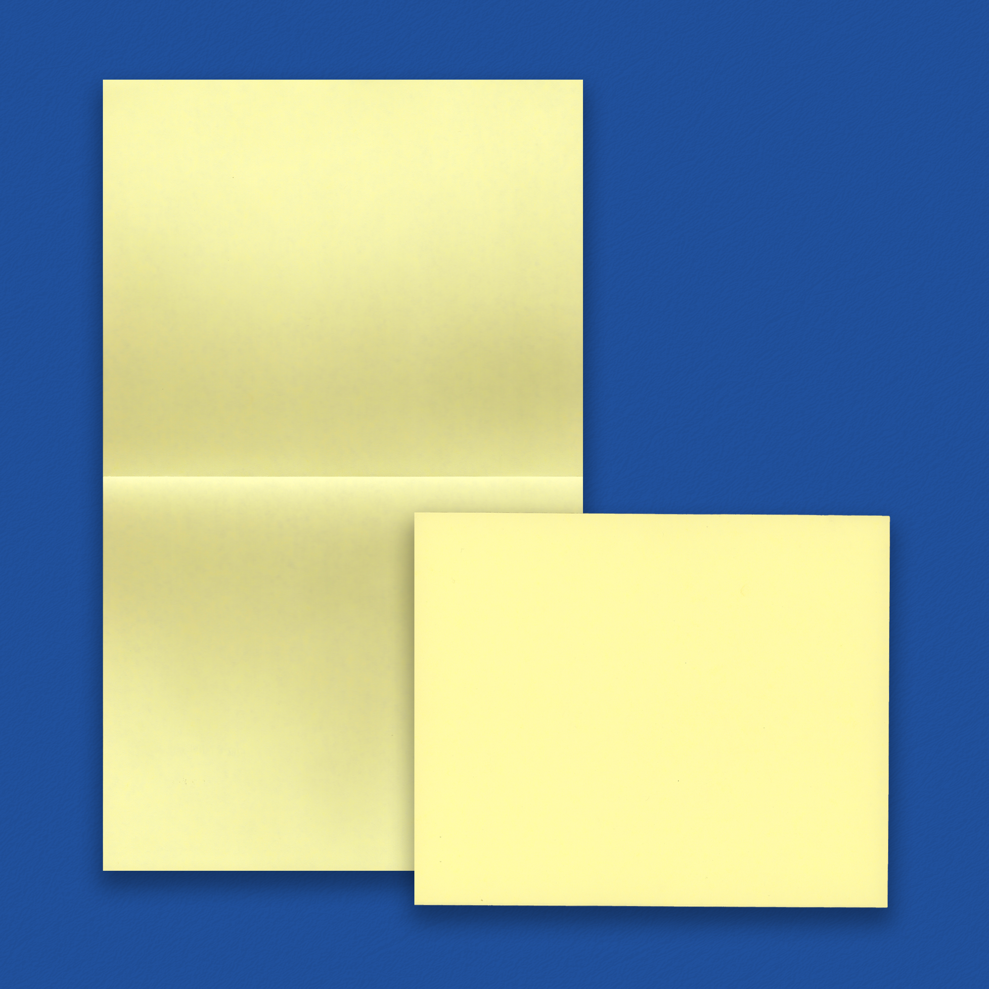 Piracle Legal Copy Stock - Canary