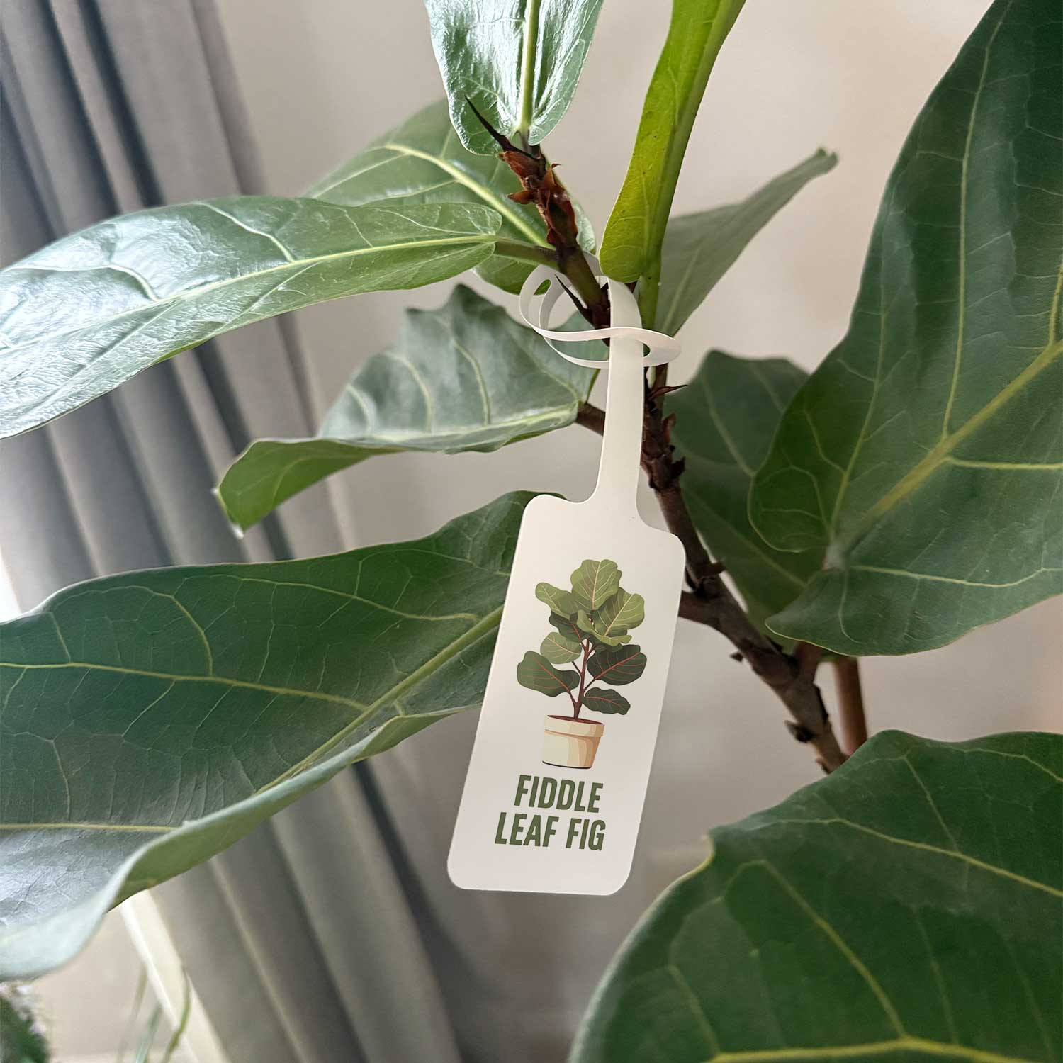 REVLAR® Die-Cut Loop Tags