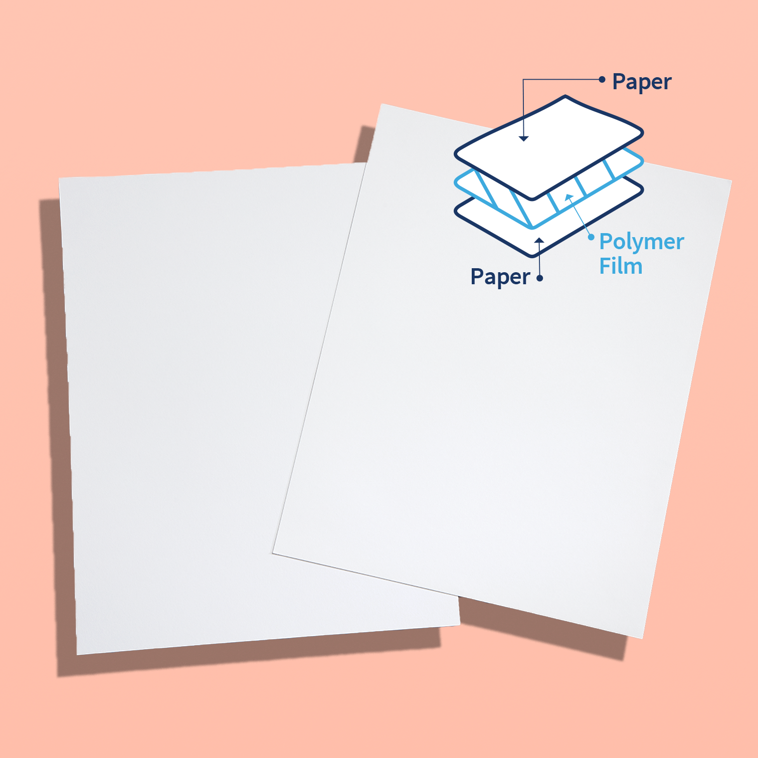 TRIDURA tear resistant paper layers