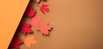 Celebrate Fall with 20% Off Sitewide!