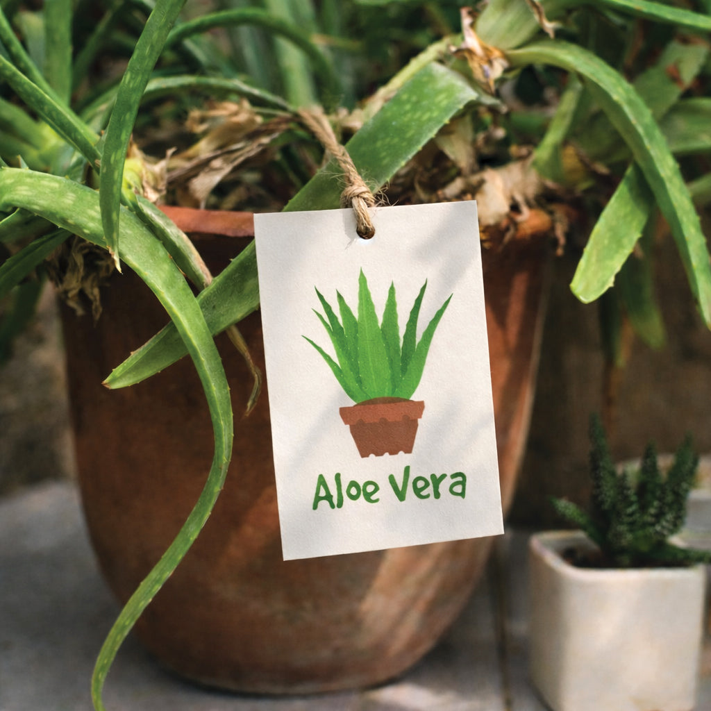 REVLAR® Die-Cut Hang Tags (500 Sheets)