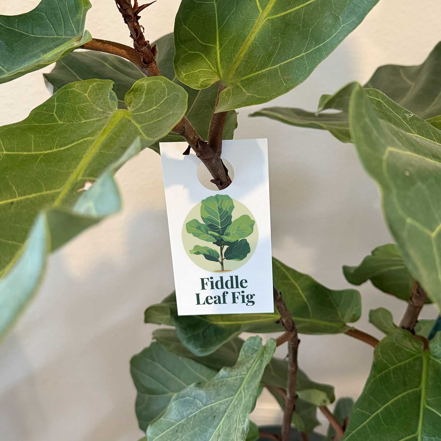 REVLAR® Die-Cut Door Hangers 6 Up